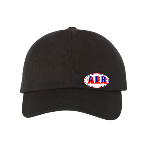 AER - 6 Panel Flexfit Mesh back Cap